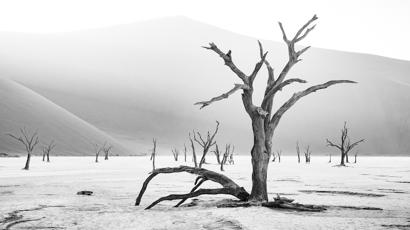 PSSA Silver Medal-Open Mono Prints-REVISITED1-Johan Van Wyk-Tygerberg Photographic Society