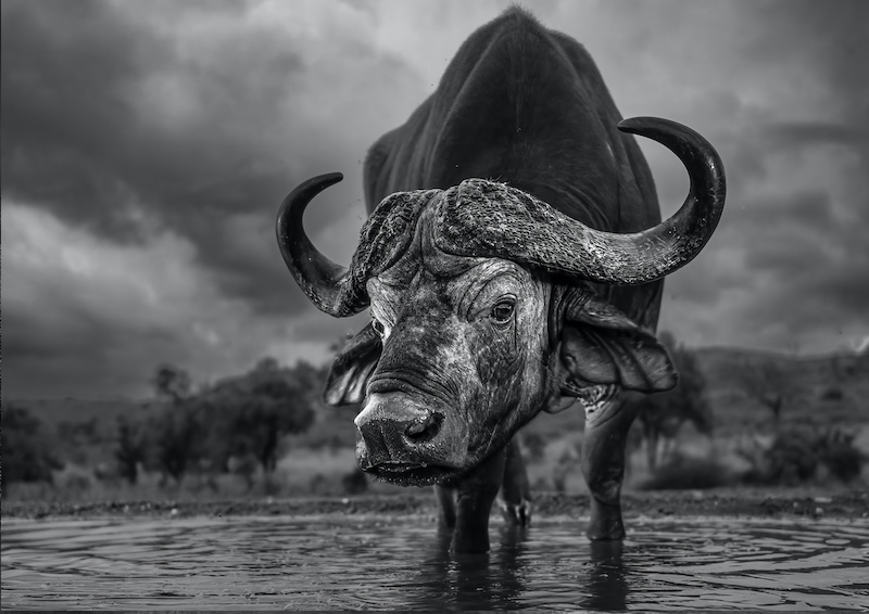 Wayne dos Santos Niz - Looking into my soul