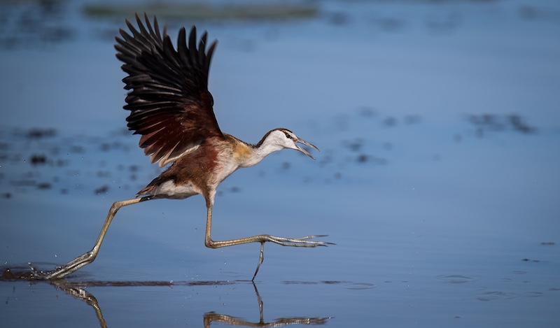 Alta Oosthuizen - Using the Runway