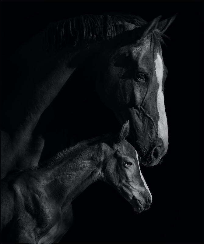 Cynthia Uren Viva la Vida