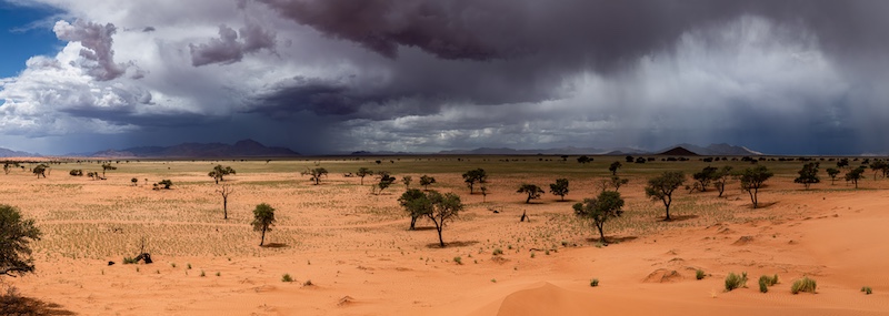 Dieter Butow-Namib Rains Panorama.jpg-Cape Town Photographic Society