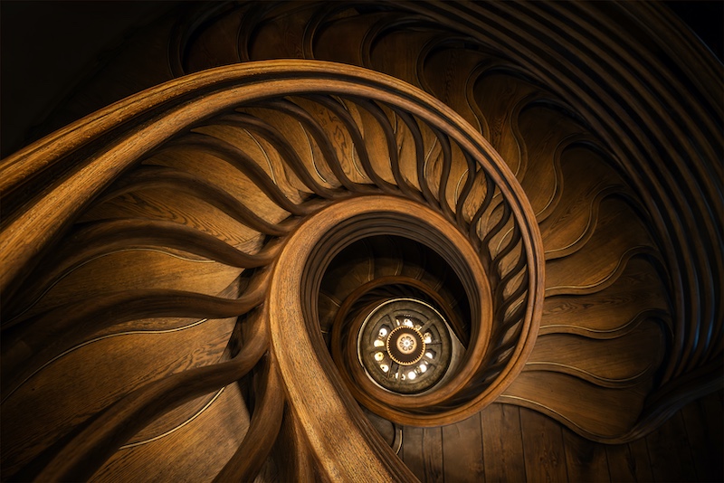 Kim Stevens-Polished Oak -Cape Town Photographic Society