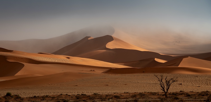 Laetitia Kenny-Misty Namib-Edenvale Photographic Club