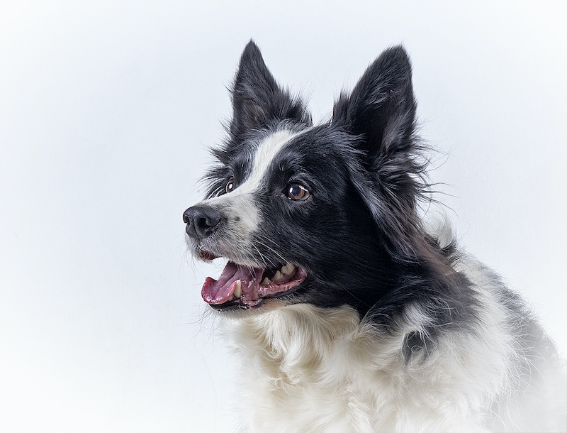 Leon Heyes-Cant Wait-Maritzburg Camera Club