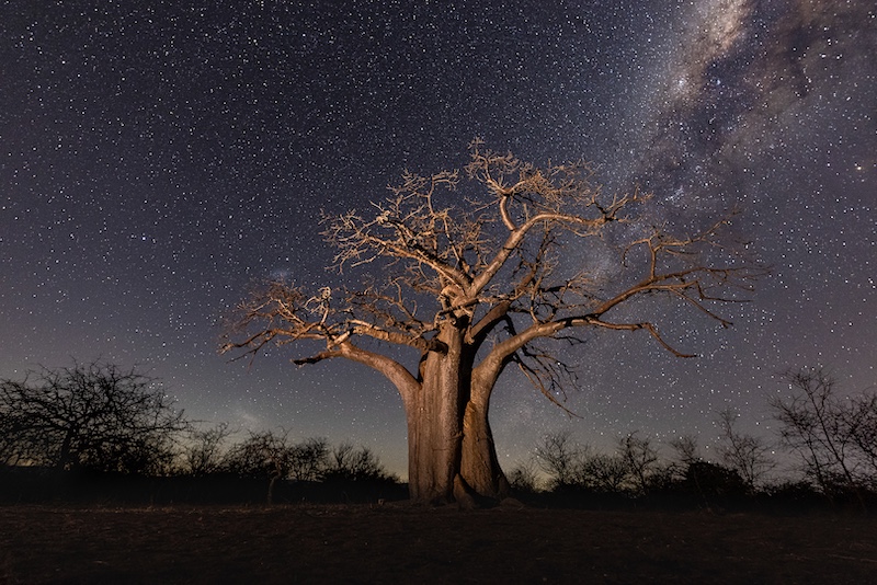 Rodney Cory-African Skies-Southern Suburbs Camera Club