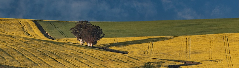 Francois Roux-overberg panorama-Vanderbijlpark Fotografiese Vereniging