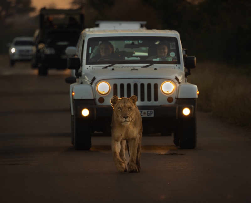 Pitts Patel-Bush Addicts-Springs Photographic Club