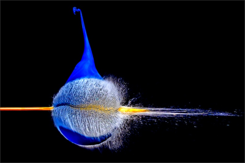 2403-Cynthia Uren-Southern Suburbs Camera Club-FIAP Bronze Medal Action-9th Lion City International Salon 2024-Straight shot