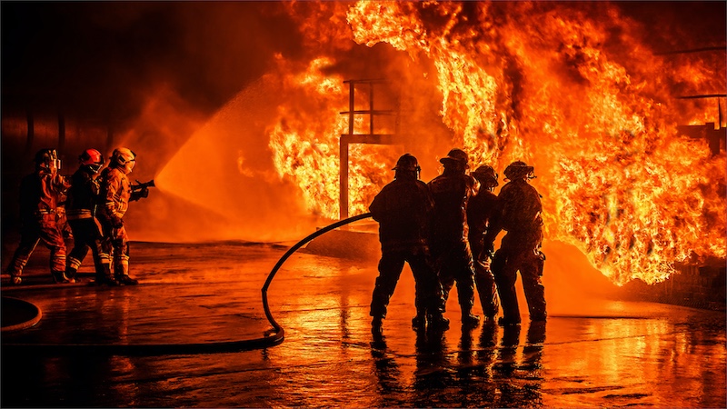 2403-Cynthia Uren-Southern Suburbs Camera Club-FIAP Bronze Medal Colour-14th Arctic Exhibition 2024-Brave Heart