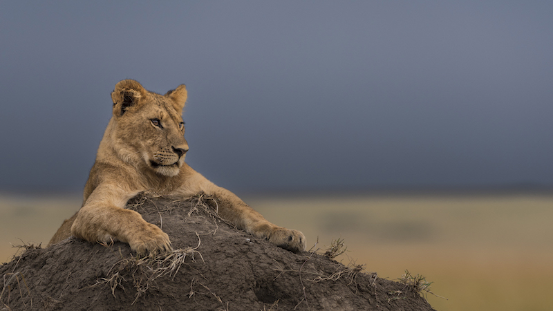 Cape Town Photographic Society - Heiko Denker - Vantage point