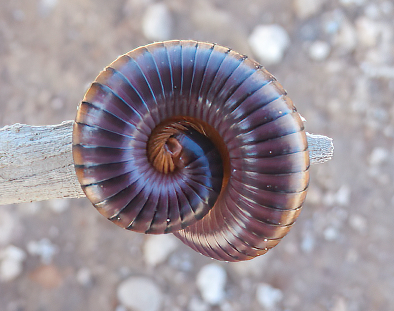 Schools - Aristea Photoclub - Michael Lindemann - rolled up