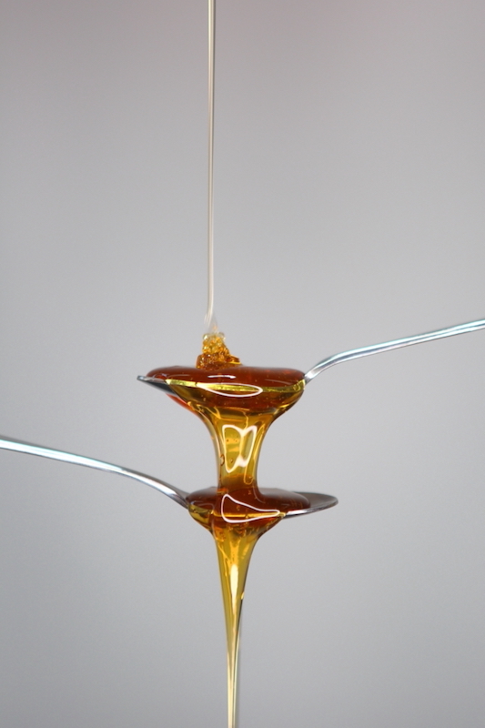 Schools - Hermies Photography Club - Stefan Botha - honey