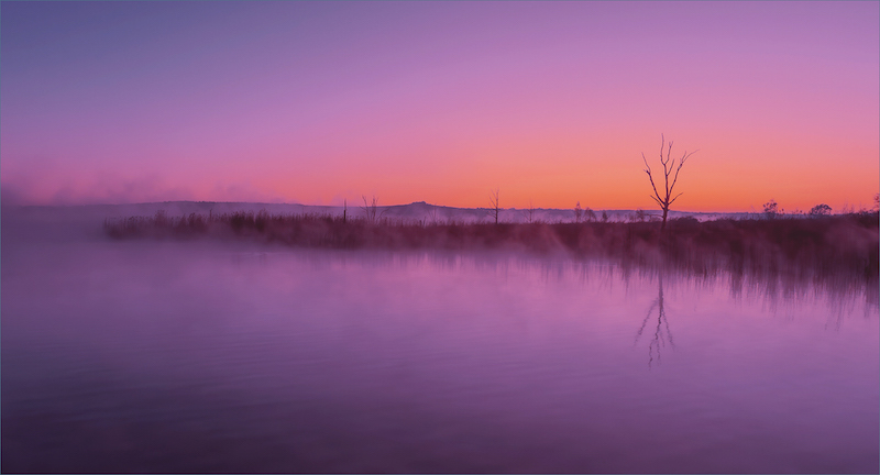 Bosveld Fotografie Klub - Lizelle Koch - Morning has broken