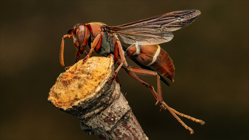 Ermelo Foto Klub - Jacques Kruger - Stretching exercise