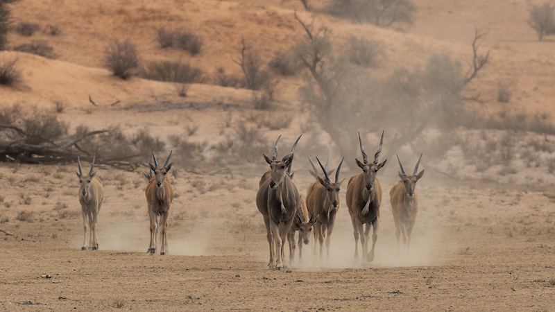 Jeffreys Bay Camera Club - Sunet van Niekerk - Stofpad water toe