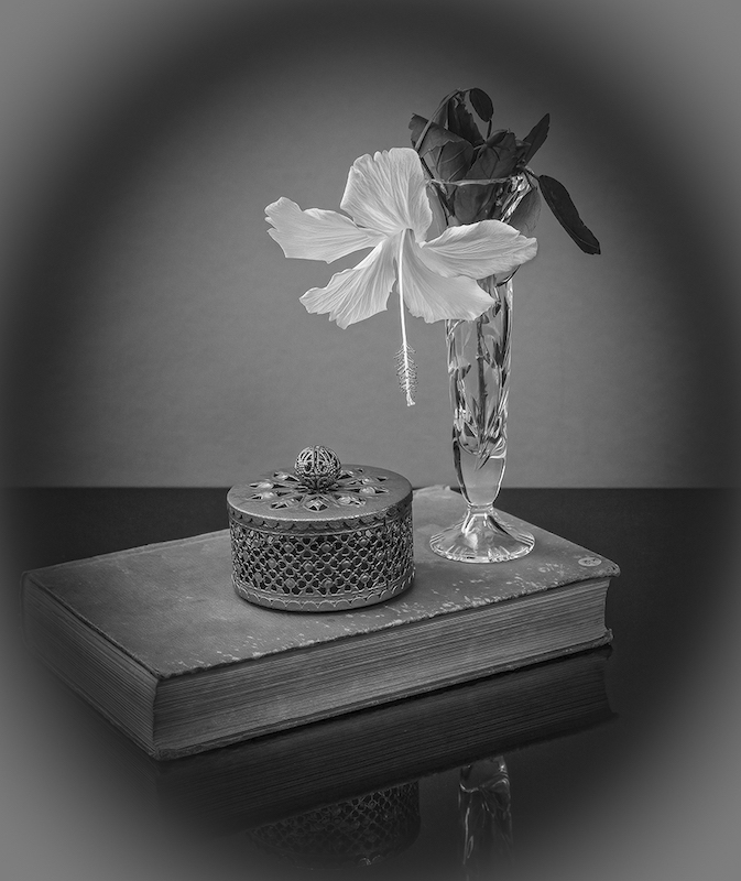 SAVAS - Annatjie Bruyns - White Hibiscus