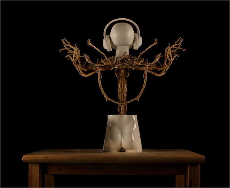 Tygerberg Photographic Society - DAVID BARNES - The naked Conductor