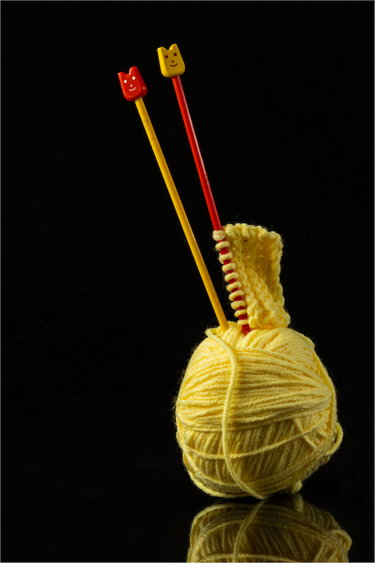 Witzenberg Photographic Society - Louise De Lange - Yellow and Red