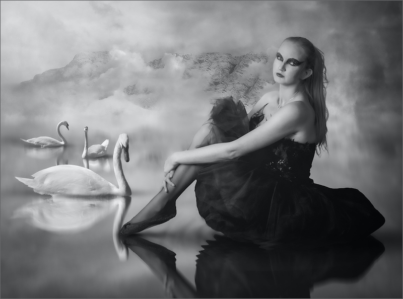 Witzenberg Photographic Society - Mariana Visser - Black swan