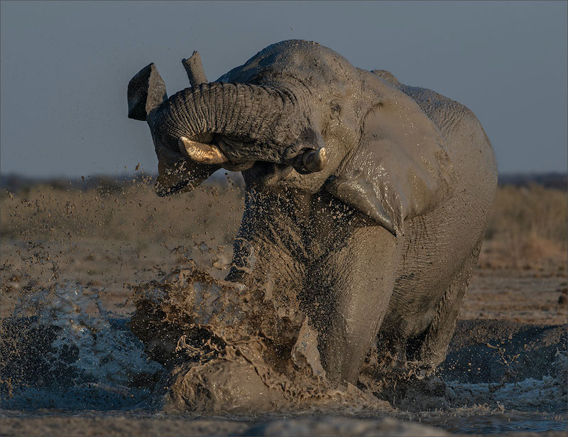 Leon Venter - Bethal Fotografie Klub - KICKING WATER FOR JOY