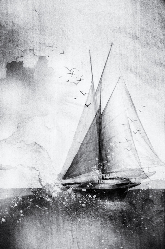 National Photographic Club - Charlaine Gerber - I am sailing stormy waters to be free