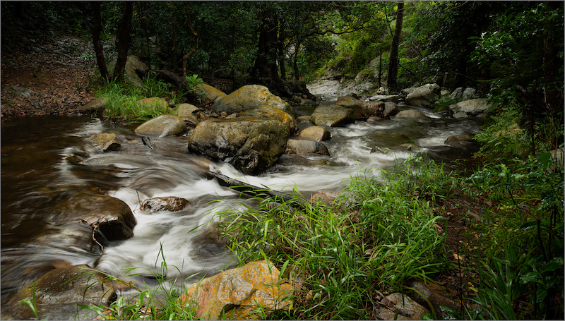 Swartland Fotografieklub - Theuns Olivier - Limpopo - Lekgalemeetse