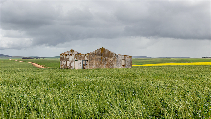 Albertino Goncalves -  Independent - Verlore in die vlaktes