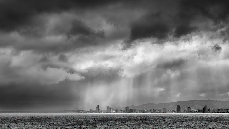 Eileen  Covarr - Knysna Photographic Society - Moments of sunshine