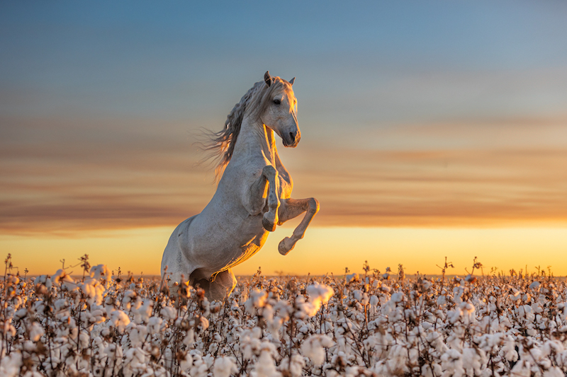 Esme de Beer - Ignite Photo Club - Free spirit