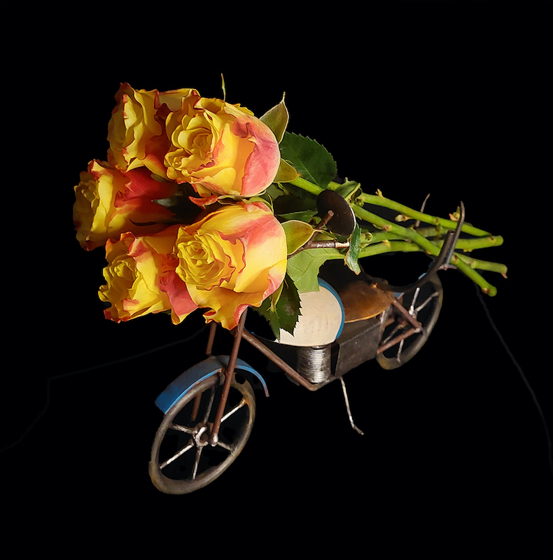 Louis Mouton - Brandpuntfotoklub - Rose Delivery