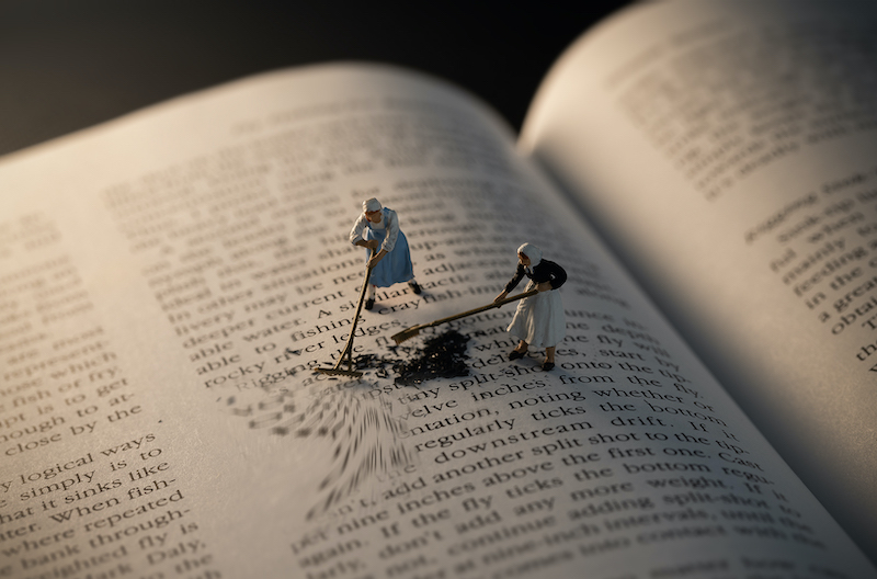 MONIQUE VAN ROOYEN - Klerksdorp Fotografie Klub - Gathering words