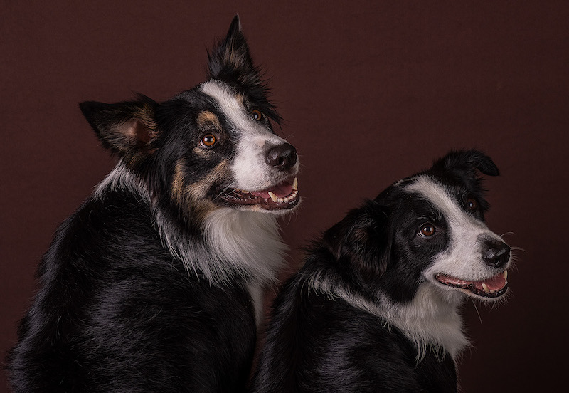 Peter Thomas - Brandpuntfotoklub - Did you call