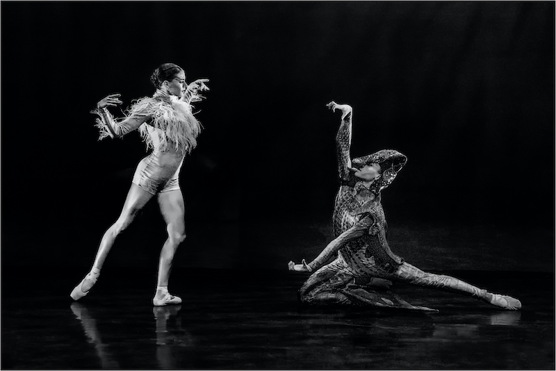 Phillip De Lange - Tafelberg  Fotografieklub - The bird and the crocodile