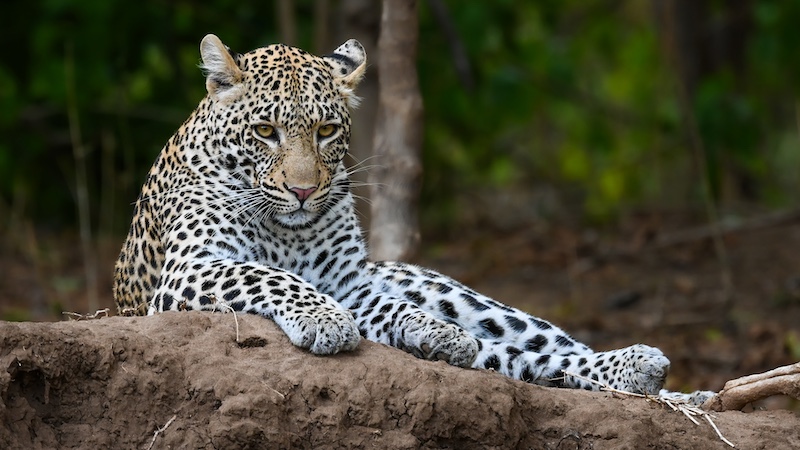 Ballito Photo Club - Haydn McClure - Tired