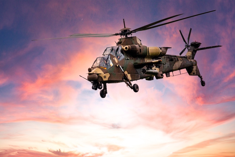 Beachcombers Photography Club - Logan Pillay - Fiery Flight