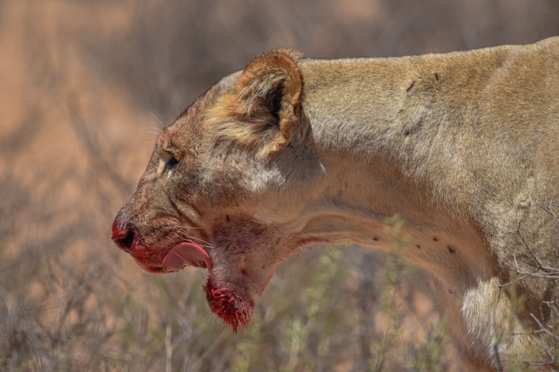 Cape Town Photographic Society - Tom Gosh - Tasty lunch