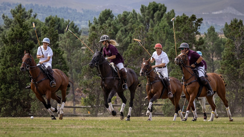Hermanus Photographic Society - Carina de Klerk - Polo chase