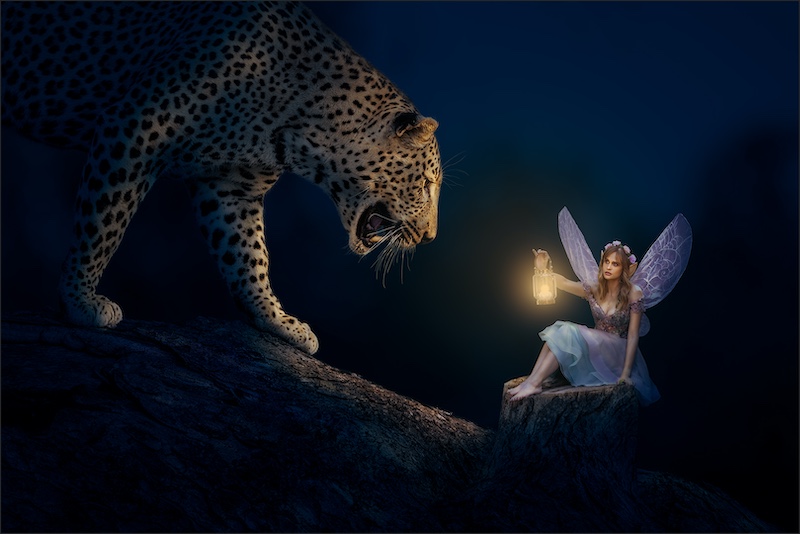 Vereeniging Photographic Society - Francois Oosthuysen - Unexpected visitor