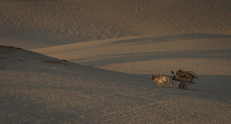 Anne Hrabar - Knysna Photographic Society - its been a long day