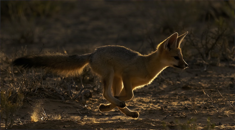 Geo Jooste - Bloemfontein Kameraklub - crossed legs