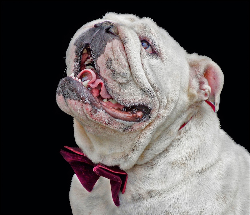 Leon Pelser - Sasol Highveld Photography Club - call me PLACIDO