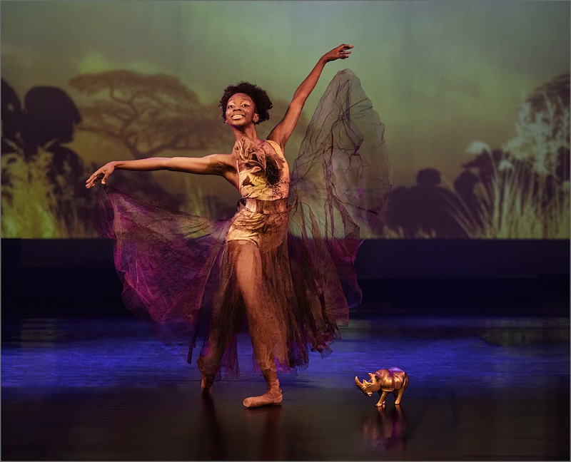 Mariana Visser - Tafelberg  Fotografieklub - Golden rhino and prinses