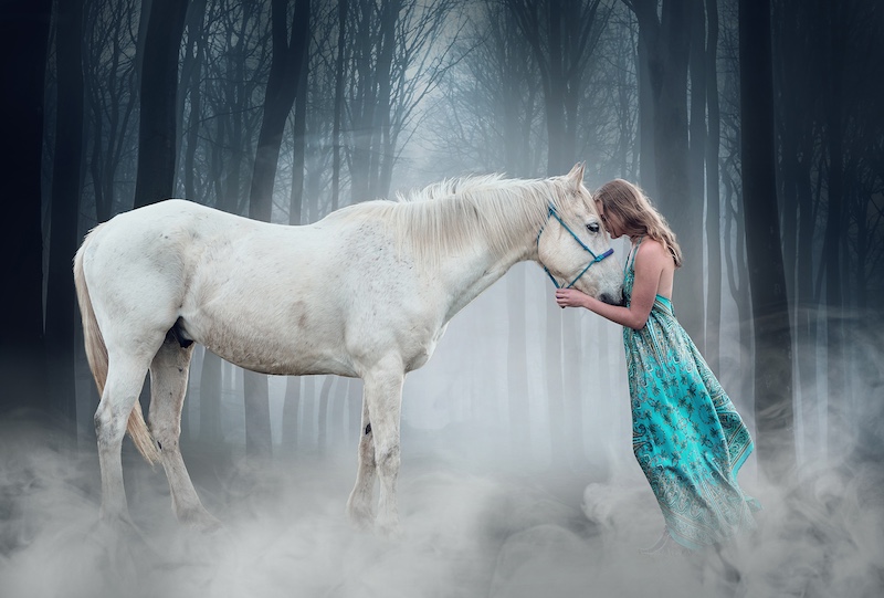 Robbie Aspeling - Sandton Photographic Society - Our bond is unbreakable