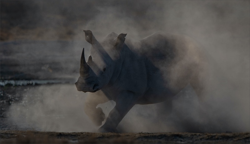 Bethal Fotografie Klub - Leon  Venter - Surprise out of the dust