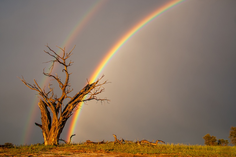 Bosveld Fotografie Klub - Ziets Zietsman - Kwangpan Reenboog