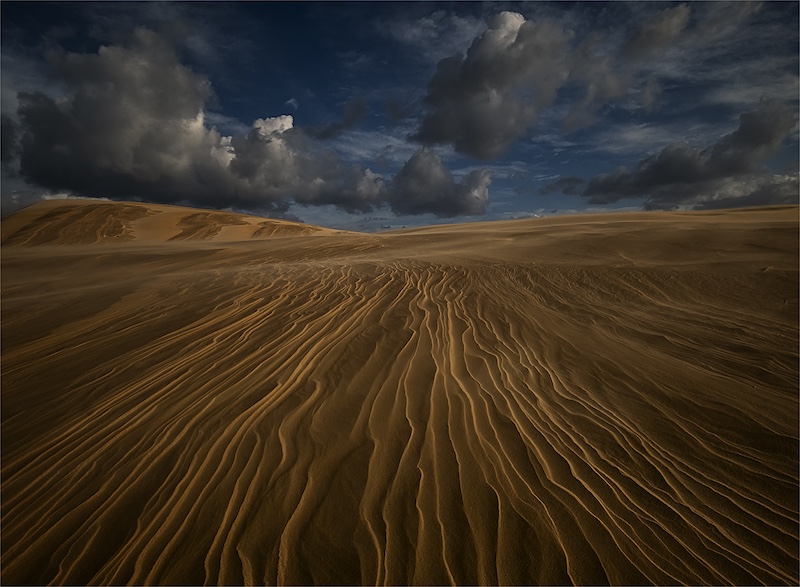 Port Elizabeth Camera Club - Julia Mukheibir - Dunescape