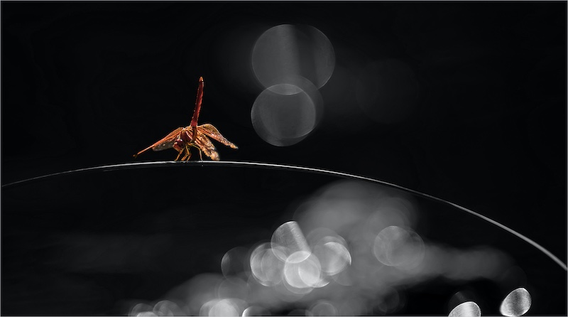 Swartland Fotografieklub - Andre Stipp - Reflections and nature