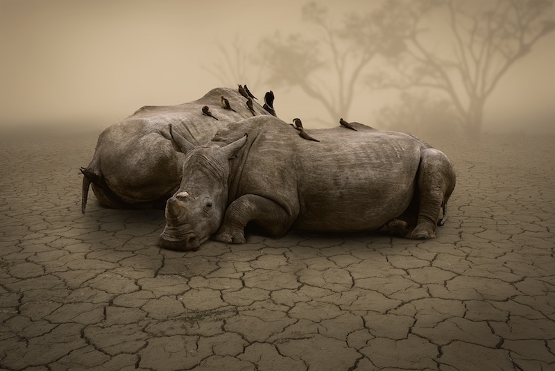 Tafelberg  Fotografieklub - Theo Potgieter - Waiting for the rain