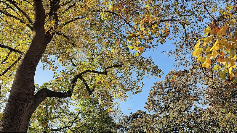 Diane Goncalves - Brandpuntfotoklub - Autumn in Nantes