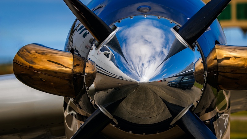 Knysna Photographic Society - Alan King - Boss